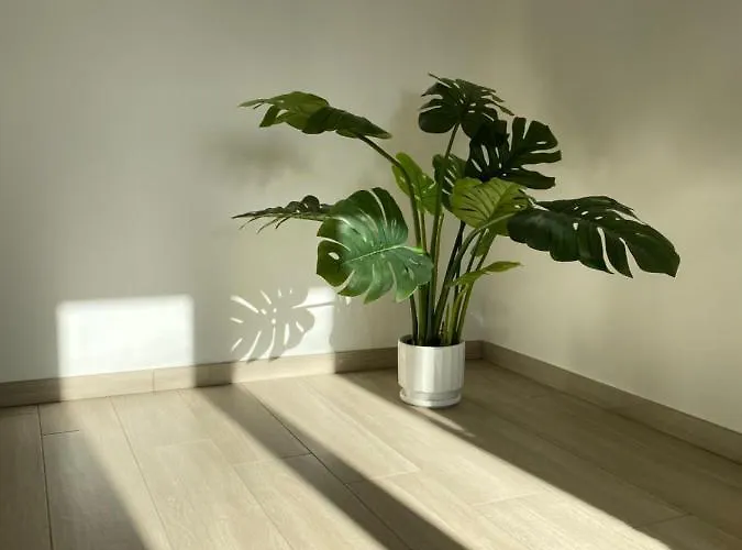 Casa Emali Semesterbostad